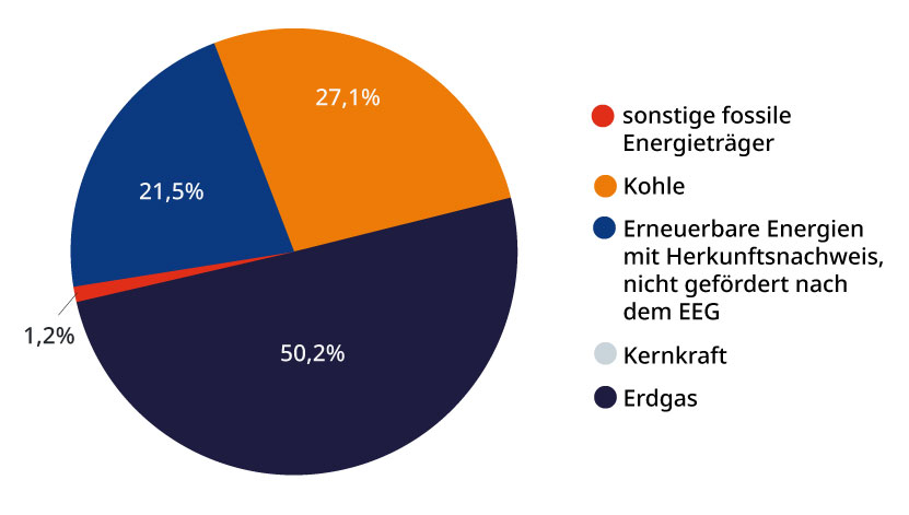 Gesamtenergieträgermix der Stadtwerke Oerlinghausen 2024